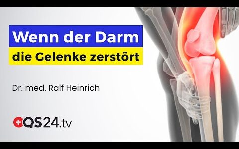 Leaky Gut & Gelenkschäden – Wie der Darm die Heilung beeinflusst | Naturmedizin | QS24