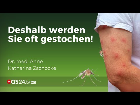 Attraktiv für Insekten? Die Rolle des Mikrobioms bei Stichen und Bissen | Dr. Zschocke | QS24