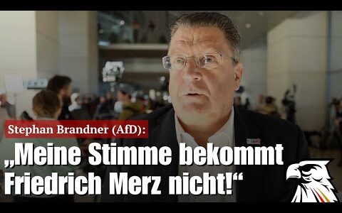 „Meine Stimme bekommt Friedrich Merz nicht!“ | Stephan Brandner (AfD)