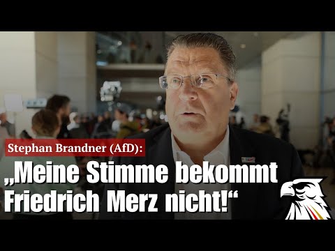 „Meine Stimme bekommt Friedrich Merz nicht!“ | Stephan Brandner (AfD)