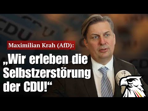 Maximilian Krah (AfD): „Wir erleben die Selbstzerstörung der CDU!“