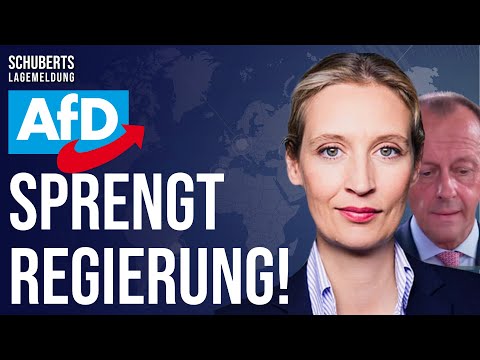 💥AfD siegt vor Gericht + CDU total blamiert und vorgeführt + Entsetzen bei der SPD