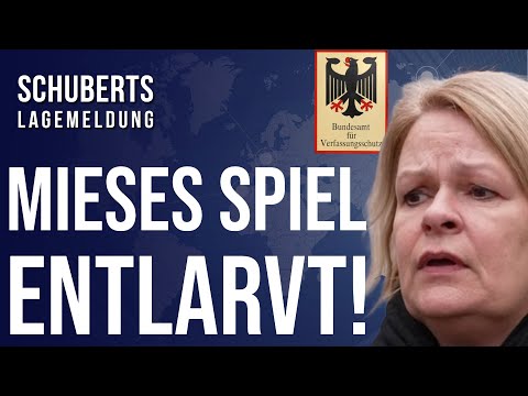 💥Der perfide Anti-AfD-Geheimplan des Verfassungsschutzes + DAS steckt WIRKLICH hinter dem Vorgehen!