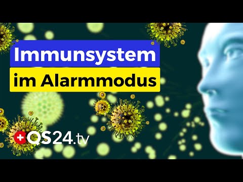 Nährstoffraub bei Insekten: Warum unser Immunsystem mehr braucht, als wir denken!  | QS24