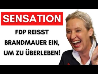 Mehr über den Artikel erfahren Erster FDP-Kreisverband kündigt Zusammenarbeit mit AfD an!