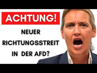 Mehr über den Artikel erfahren Medienbericht: AfD verschiebt aus ANGST neues Grundsatzprogramm!