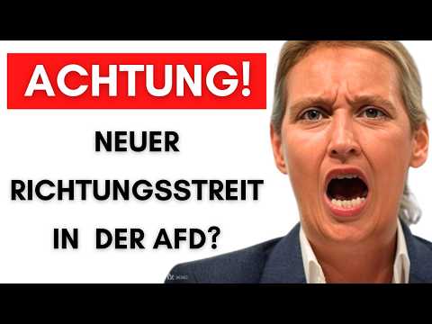 Medienbericht: AfD verschiebt aus ANGST neues Grundsatzprogramm!