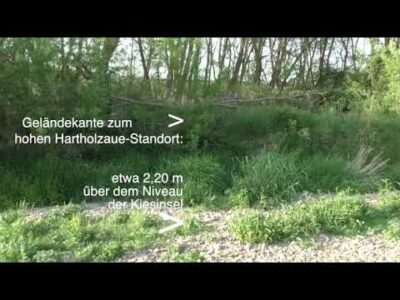 Mehr über den Artikel erfahren Die Ahr-Landschaft   „Lohrsdorf-Bad Bodendorf“ –  Eine Aue von europäischem Rang