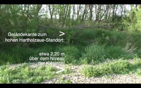 Die Ahr-Landschaft   „Lohrsdorf-Bad Bodendorf“ –  Eine Aue von europäischem Rang