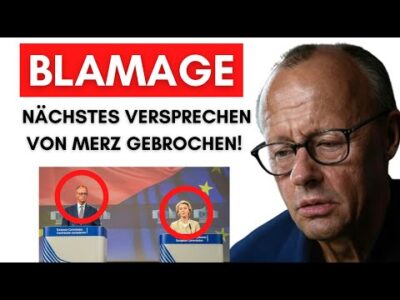 Mehr über den Artikel erfahren EU stellt sich GEGEN Merz – Lieferkettengesetz bleibt!