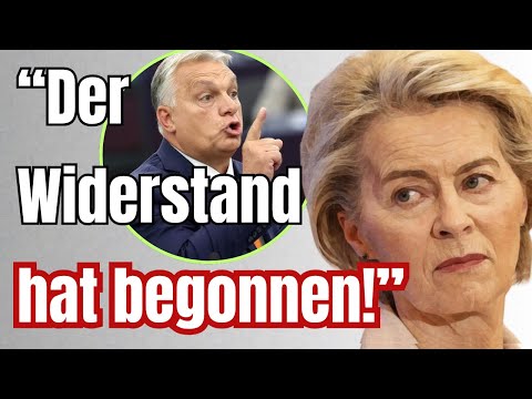 PAUKENSCHLAG! Jetzt geht es Von der Leyen an den Kragen!