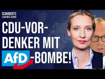 Mehr über den Artikel erfahren Berlin-Beben🔥 Brandmauer soll fallen und ersetzt werden durch.. + NS-Studie sorgt für Schnappatmung!