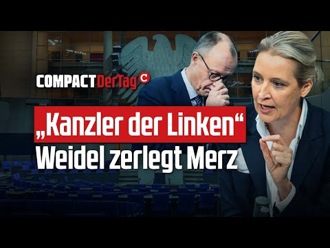 «Kanzler der Linken» – Weidel zerlegt Merz💥
