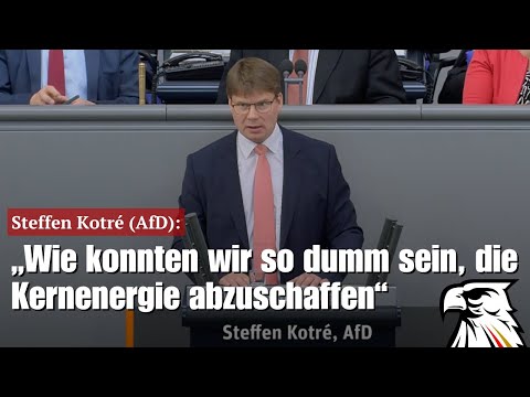 Steffen Kotré (AfD): „Wie konnten wir so dumm sein, die Kernenergie abzuschaffen“