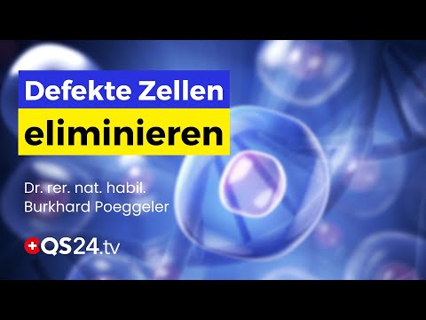 Verjüngung durch Zellreinigung: Neue Hoffnung bei chronischen Krankheiten? | QS24 Gremium