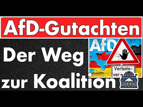 AfD gesichert rechtsextrem? Verfassungsschutz auf dem Rückzug: Flucht nach vorn mit Amateurgutachten