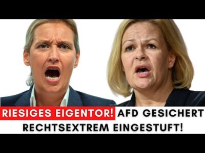 Mehr über den Artikel erfahren Darüber spricht ganz Deutschland! Selbst Scholz sagt, das ist Schwachsinn!