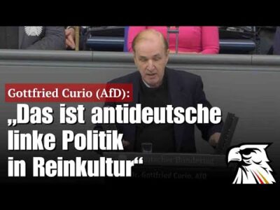 Mehr über den Artikel erfahren Gottfried Curio (AfD): „Das ist antideutsche linke Politik in Reinkultur“