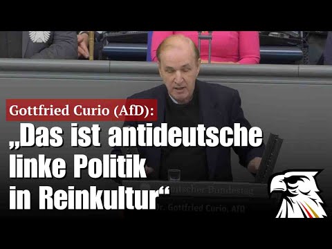 Gottfried Curio (AfD): „Das ist antideutsche linke Politik in Reinkultur“