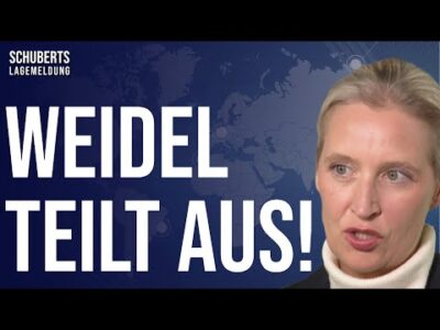 Mehr über den Artikel erfahren 💥Berlin-Schock: Beispielloser Angriff auf AfD und die Demokratie + Schwere Vorwürfe gegen CDU & SPD!