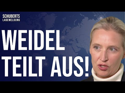 💥Berlin-Schock: Beispielloser Angriff auf AfD und die Demokratie + Schwere Vorwürfe gegen CDU & SPD!
