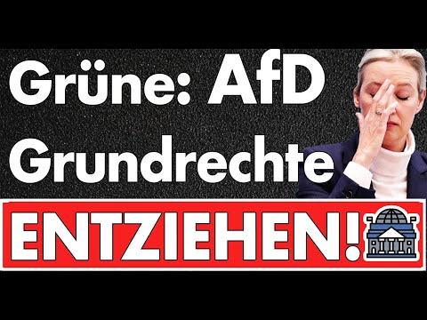 Grüne fordern Grundrechtsentzug für AfD-Politiker: Faschistoide Idee oder Schutz der Demokratie?