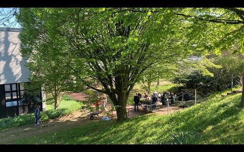 Hochschule für Umweltwissenschaften in Höxter / Weser  –  lernen und lehren im begeisternden Grün