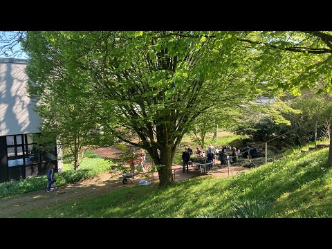 Hochschule für Umweltwissenschaften in Höxter / Weser  –  lernen und lehren im begeisternden Grün