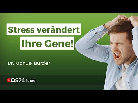 Schalten Sie Stress aus, bevor er Ihre DNA programmiert! | Naturmedizin | QS24 Gesundheitsfernsehen