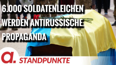 Mehr über den Artikel erfahren 6.000 Soldatenleichen werden antirussische Propaganda | Von F. Klinkhammer und V. Bräutigam