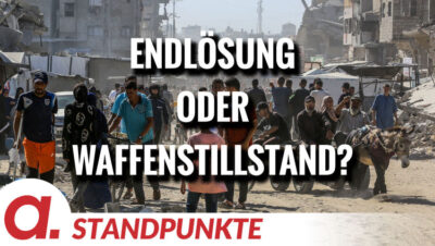 Mehr über den Artikel erfahren Endlösung oder Waffenstillstand? | Von Jochen Mitschka