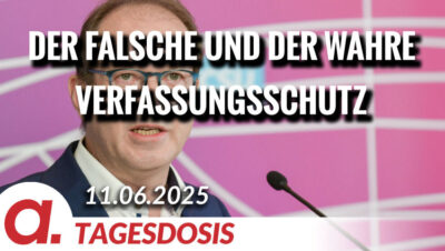 Mehr über den Artikel erfahren Der falsche und der wahre Verfassungsschutz | Von Tilo Gräser