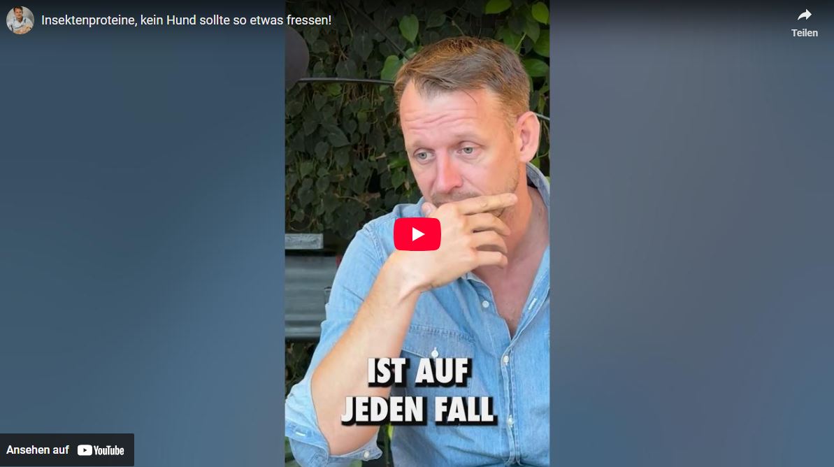 Dr. Franz Spitzer: Insektenproteine, kein Hund sollte so etwas fressen!