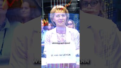Mehr über den Artikel erfahren Digitales Gefängnis – Enteignung von Volksvermögen