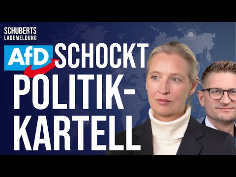 AfD gibt passende Antwort💥Panik bei der ARD-Tagesschau + Grüne-Heuchler überführt + Steinmeier…
