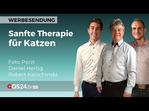 Innovative Therapie für Katzen: Sanfte Heilung für Ihr Haustier | Alternativmedizin | QS24