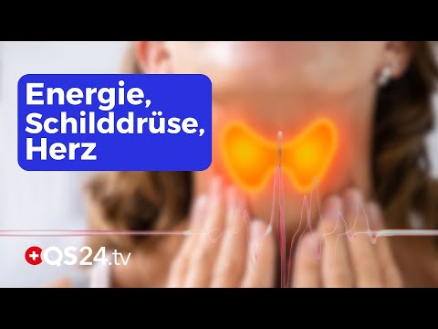 Energie, Schilddrüse, Herz: Wie L-Tyrosin, Q10 & Lipoprotein(a) Ihr Leben beeinflussen! | QS24