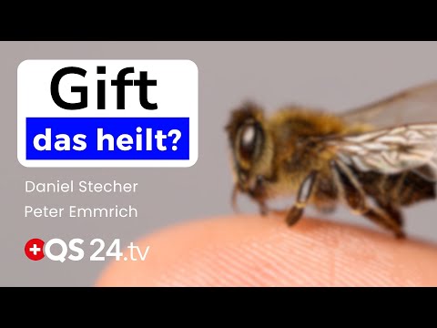 Bienengift: Altbewährtes Heilmittel neu entdeckt | Erfahrungsmedizin | FA Peter Emmrich | QS24