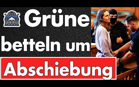 Betteln für die Abschiebung? Grüne am Limit! Solidarisierung oder Billigung von Straftaten?