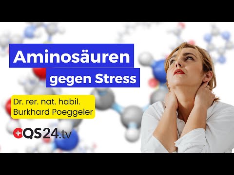 Die Anti-Stress-Formel: L-Theanin, L-Arginin & L-Tyrosin | QS24 Wissenschafts-Gremium