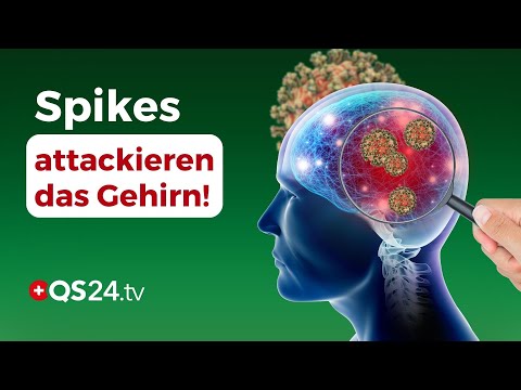 Spike-Proteine als heimliche Gehirn-Saboteure – Was passiert im Kopf? | Erfahrungsmedizin | QS24