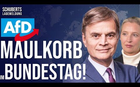 💥Unfassbares Vorgehen gegen AfD + AfD-Sieg vor Gericht + Antifa-Irrsinn + Habeck-Skandal