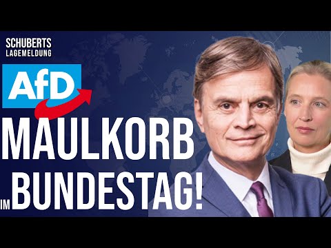 💥Unfassbares Vorgehen gegen AfD + AfD-Sieg vor Gericht + Antifa-Irrsinn + Habeck-Skandal
