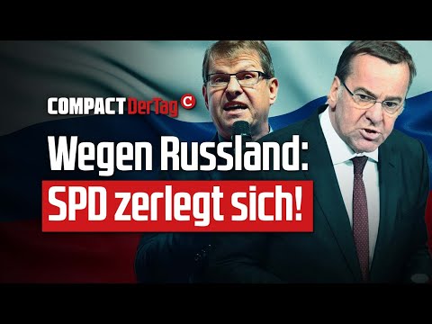 Wegen Russland: SPD zerlegt sich!💥