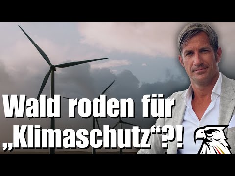 Perverser gehts nicht: Berliner Grunewald wird gerodet, um „Klimaschutz“ zu betreiben!