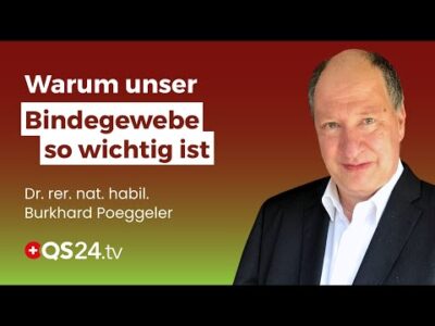 Mehr über den Artikel erfahren Die geheime Steuerzentrale des Körpers: Die kollagene Biomatrix des Bindegewebes | QS24 Gremium