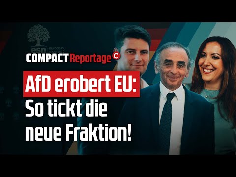 AfD erobert EU: So tickt die neue Fraktion!