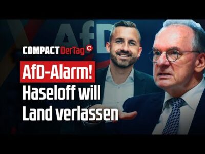 Mehr über den Artikel erfahren AfD-Alarm! Haseloff will Land verlassen💥