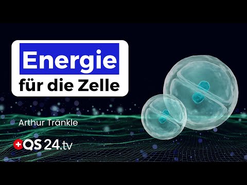 Wie Mineralstoffe und Frequenzen Ihre Zellen aufladen | Erfahrungsmedizin | QS24