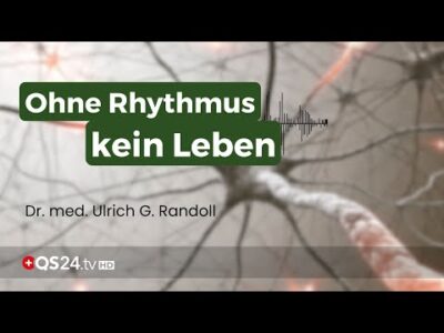 Mehr über den Artikel erfahren Ohne Rhythmus kein Leben: Was Ihre Zellen wirklich brauchen | Naturmedizin | QS24